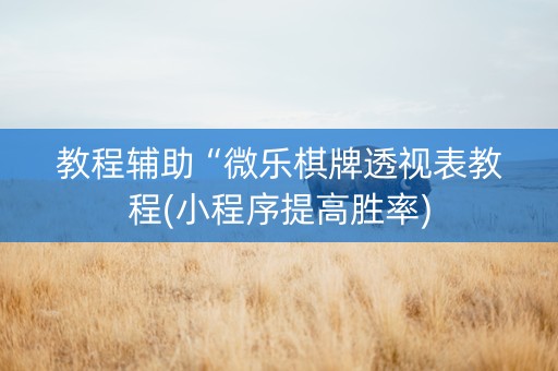 教程辅助“微乐棋牌透视表教程(小程序提高胜率)