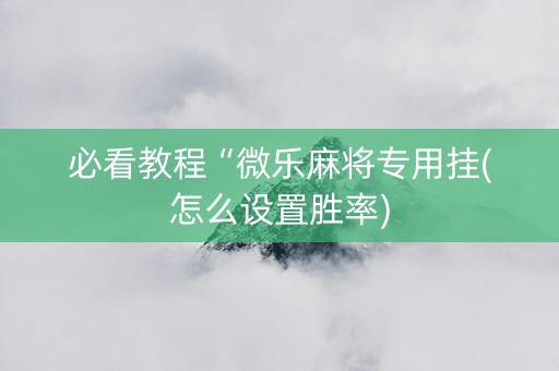 必看教程“微乐麻将专用挂(怎么设置胜率)