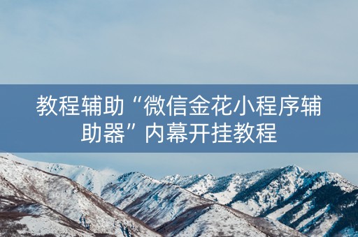 教程辅助“微信金花小程序辅助器”内幕开挂教程