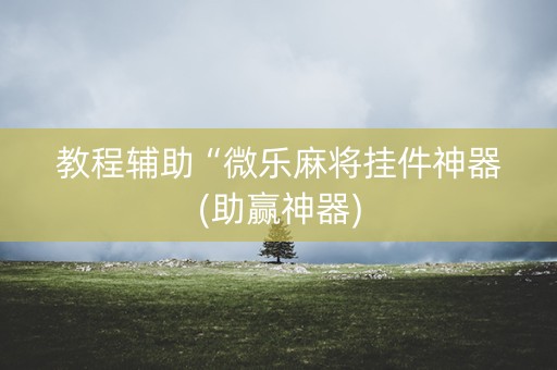 教程辅助“微乐麻将挂件神器(助赢神器)