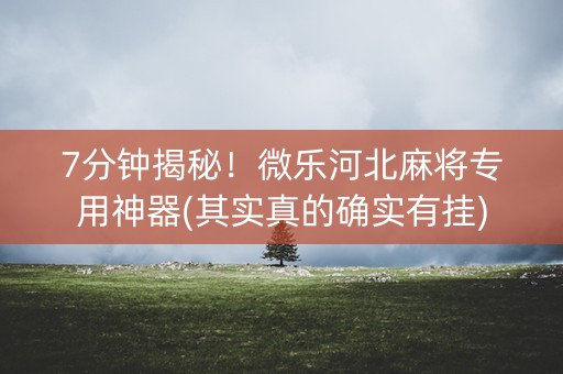 7分钟揭秘！微乐河北麻将专用神器(其实真的确实有挂)