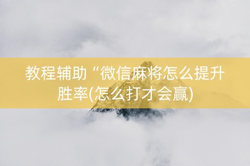 教程辅助“微信麻将怎么提升胜率(怎么打才会赢)