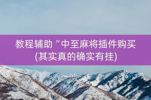 教程辅助“中至麻将插件购买(其实真的确实有挂)