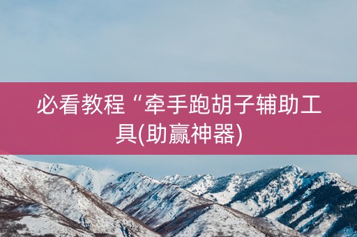 必看教程“牵手跑胡子辅助工具(助赢神器)