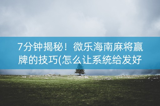 7分钟揭秘！微乐海南麻将赢牌的技巧(怎么让系统给发好牌)