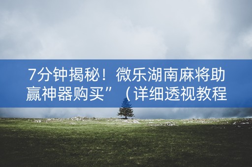 7分钟揭秘！微乐湖南麻将助赢神器购买”（详细透视教程）-哔哩哔哩