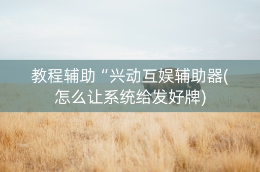 教程辅助“兴动互娱辅助器(怎么让系统给发好牌)