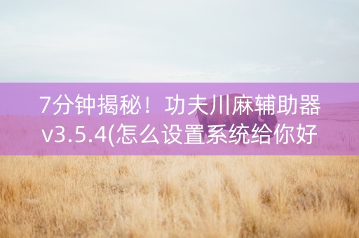 7分钟揭秘！功夫川麻辅助器v3.5.4(怎么设置系统给你好牌)