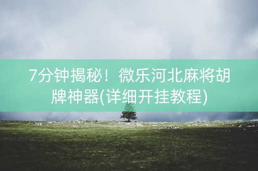 7分钟揭秘！微乐河北麻将胡牌神器(详细开挂教程)