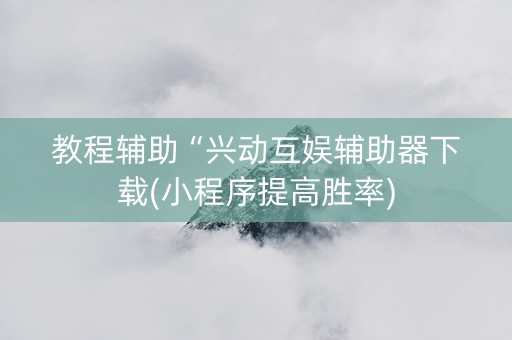 教程辅助“兴动互娱辅助器下载(小程序提高胜率)