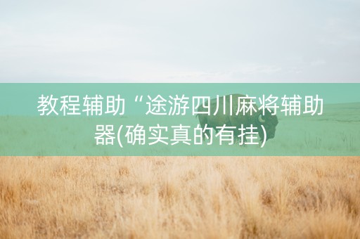 教程辅助“途游四川麻将辅助器(确实真的有挂)