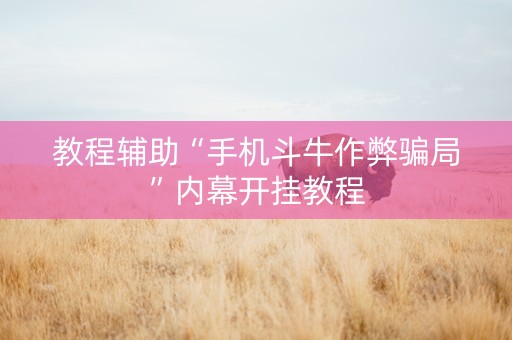 教程辅助“手机斗牛作弊骗局”内幕开挂教程
