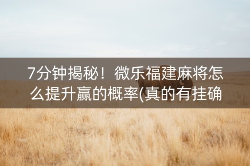 7分钟揭秘！微乐福建麻将怎么提升赢的概率(真的有挂确实有挂)
