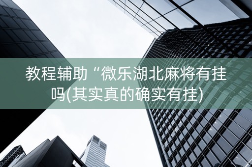 教程辅助“微乐湖北麻将有挂吗(其实真的确实有挂)