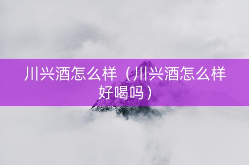 川兴酒怎么样（川兴酒怎么样好喝吗）