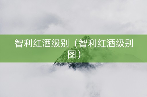 智利红酒级别（智利红酒级别图）
