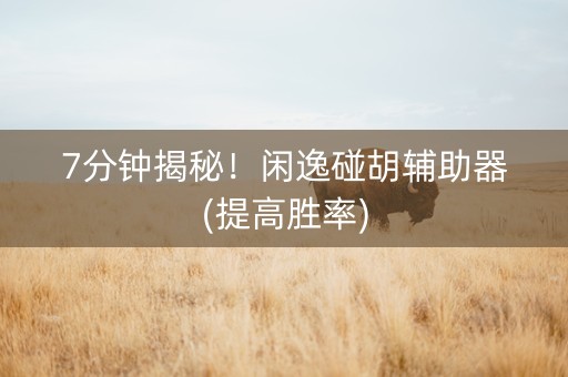 7分钟揭秘！闲逸碰胡辅助器(提高胜率)