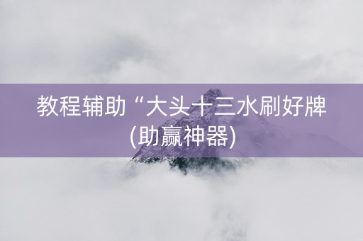 教程辅助“大头十三水刷好牌(助赢神器)