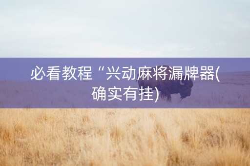 必看教程“兴动麻将漏牌器(确实有挂)