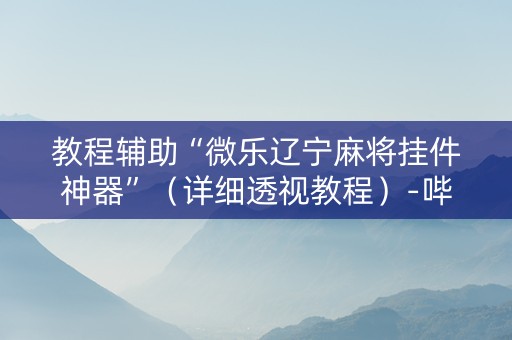 教程辅助“微乐辽宁麻将挂件神器”（详细透视教程）-哔哩哔哩