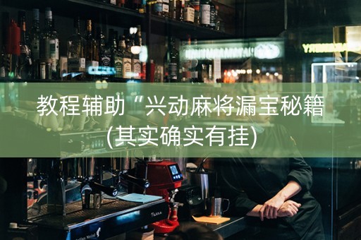 教程辅助“兴动麻将漏宝秘籍(其实确实有挂)