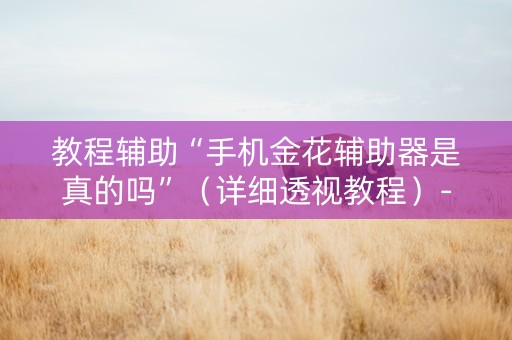 教程辅助“手机金花辅助器是真的吗”（详细透视教程）-哔哩哔哩