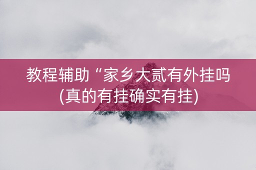 教程辅助“家乡大贰有外挂吗(真的有挂确实有挂)