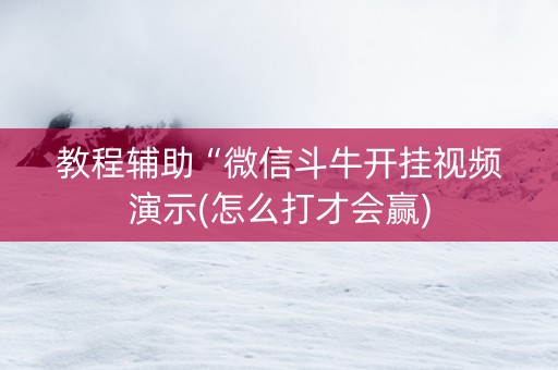教程辅助“微信斗牛开挂视频演示(怎么打才会赢)