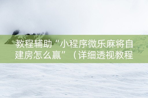 教程辅助“小程序微乐麻将自建房怎么赢”（详细透视教程）-哔哩哔哩
