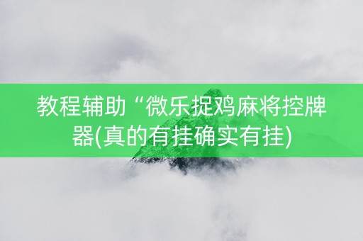 教程辅助“微乐捉鸡麻将控牌器(真的有挂确实有挂)