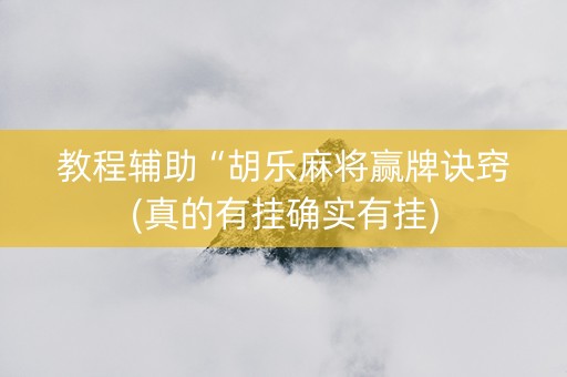 教程辅助“胡乐麻将赢牌诀窍(真的有挂确实有挂)