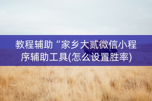 教程辅助“家乡大贰微信小程序辅助工具(怎么设置胜率)