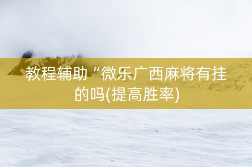 教程辅助“微乐广西麻将有挂的吗(提高胜率)