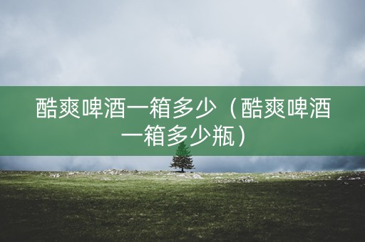 酷爽啤酒一箱多少（酷爽啤酒一箱多少瓶）