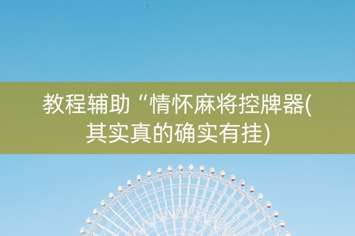 教程辅助“情怀麻将控牌器(其实真的确实有挂)