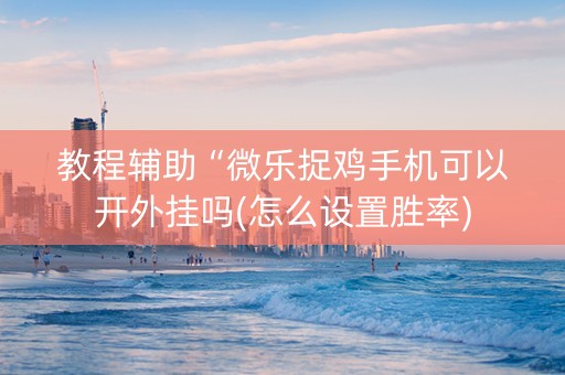 教程辅助“微乐捉鸡手机可以开外挂吗(怎么设置胜率)