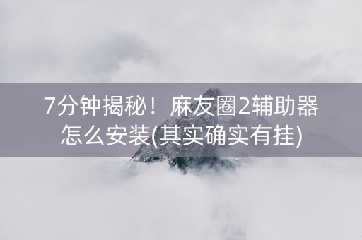 7分钟揭秘！麻友圈2辅助器怎么安装(其实确实有挂)