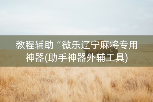 教程辅助“微乐辽宁麻将专用神器(助手神器外辅工具)