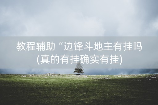 教程辅助“边锋斗地主有挂吗(真的有挂确实有挂)