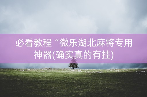 必看教程“微乐湖北麻将专用神器(确实真的有挂)