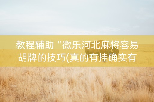 教程辅助“微乐河北麻将容易胡牌的技巧(真的有挂确实有挂)