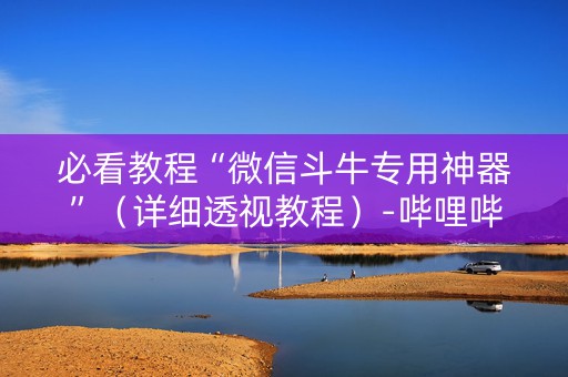 必看教程“微信斗牛专用神器”（详细透视教程）-哔哩哔哩