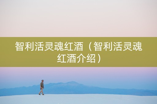 智利活灵魂红酒（智利活灵魂红酒介绍）
