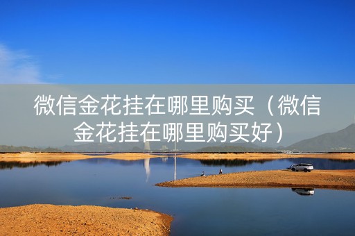微信金花挂在哪里购买（微信金花挂在哪里购买好）