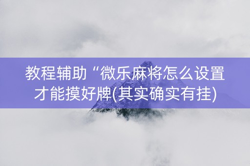教程辅助“微乐麻将怎么设置才能摸好牌(其实确实有挂)