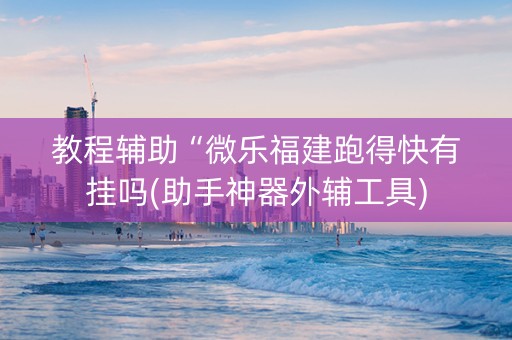 教程辅助“微乐福建跑得快有挂吗(助手神器外辅工具)
