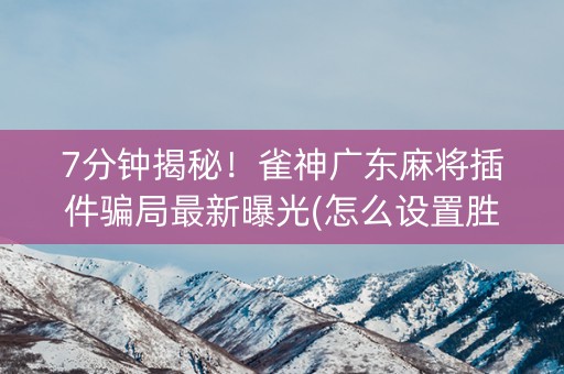 7分钟揭秘！雀神广东麻将插件骗局最新曝光(怎么设置胜率)