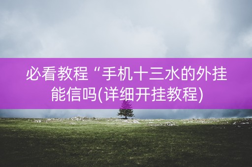 必看教程“手机十三水的外挂能信吗(详细开挂教程)