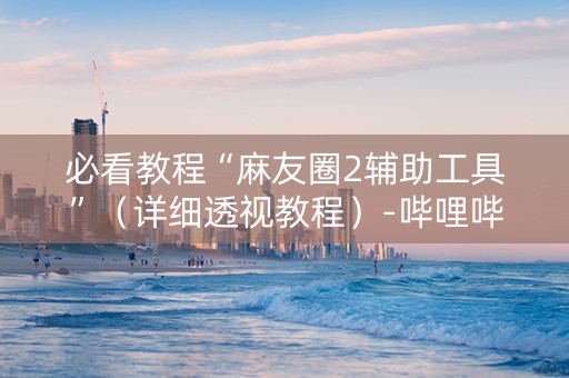 必看教程“麻友圈2辅助工具”（详细透视教程）-哔哩哔哩