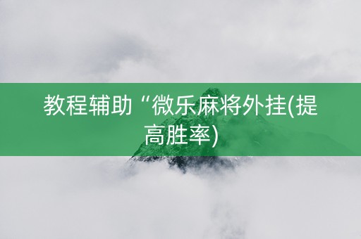 教程辅助“微乐麻将外挂(提高胜率)